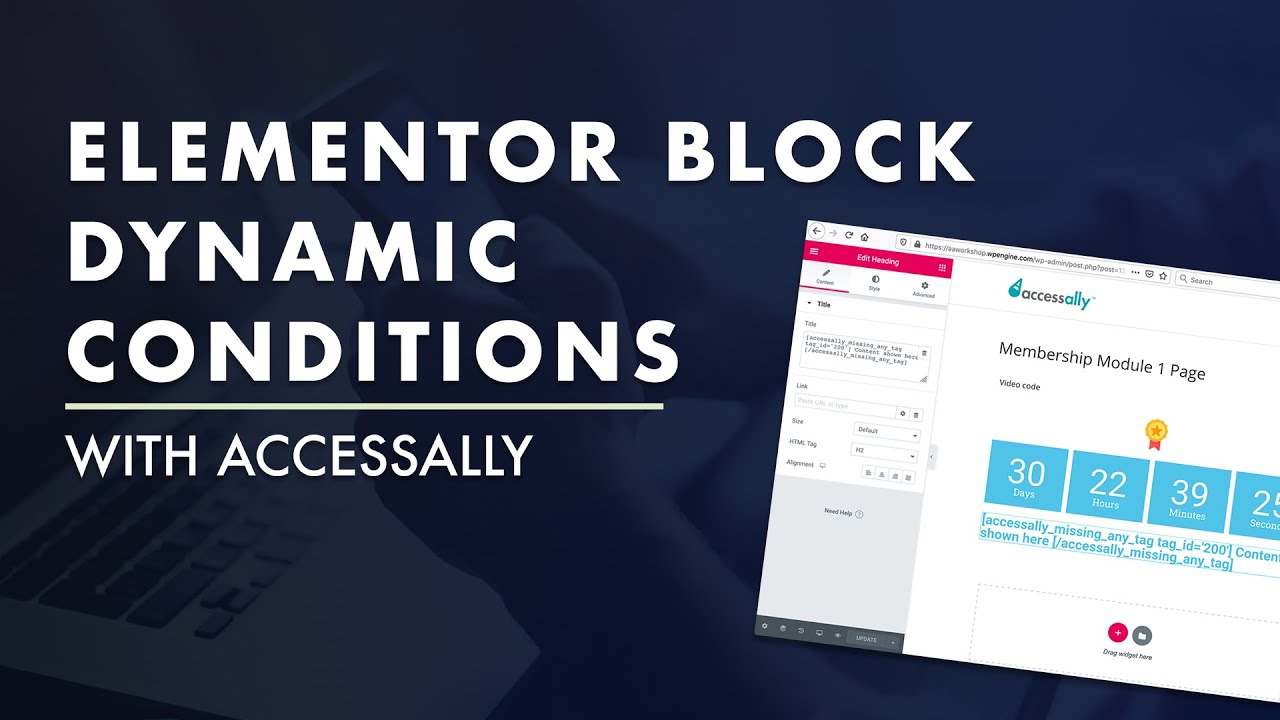 How to Use the Dynamic Conditions Plugin with Elementor Blocks ...