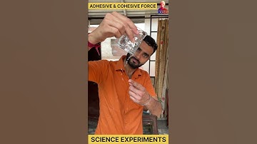 adhesive and cohesive force | science experiment |#experiment #science #physics
