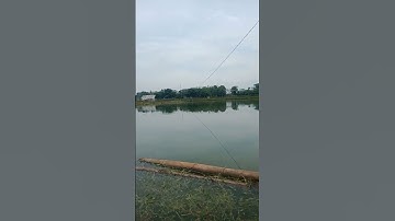 القرآن سورة الزلزلة عبدالرحمن السديس