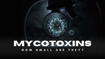 Mycotoxins: The Invisible Mold Toxins 70x Smaller Than a Blood Cell!