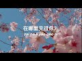 甜蜜蜜 (Tian Mi Mi) - Teresa Teng [lyrics with pinyin]