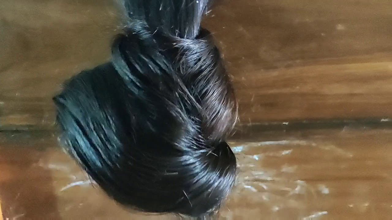 At home Big bun with stick for Long hair . Long hair  affection.