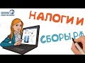 Права и обязанности налогоплательщика 🎓 ЕГЭ по обществознанию без репетитора