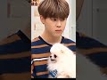 Jimin cute expression 🥰💜 #jimin #jimina #mochi #bts