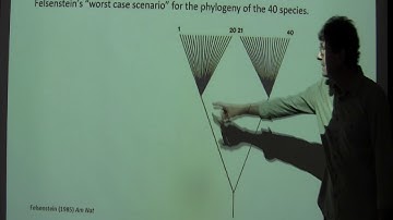 BIO501 Week 13: Phylogenetic comparative methods