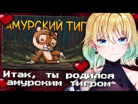 ПЛАНЯ СМОТРИТ | Итак, ты родился амурским тигром...