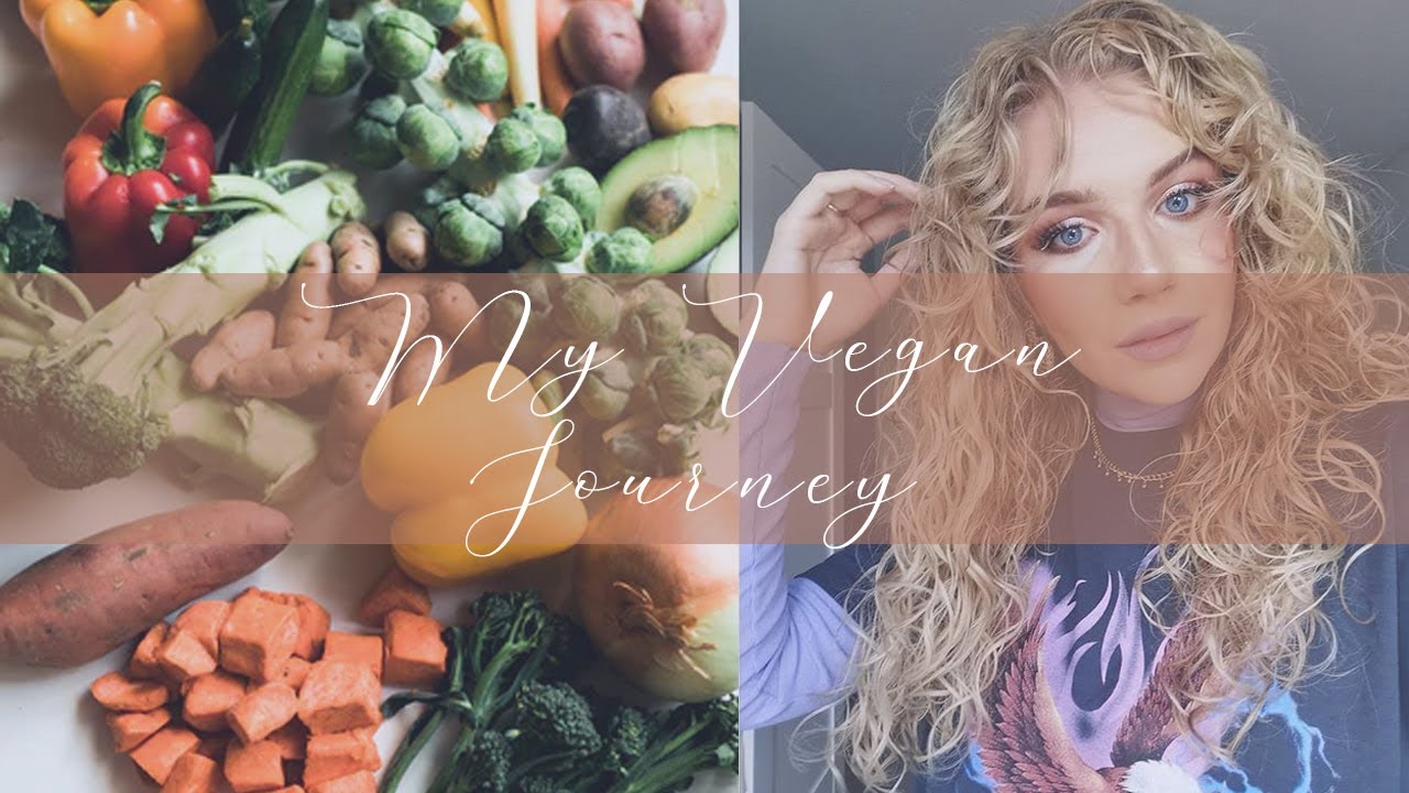 my vegan journey