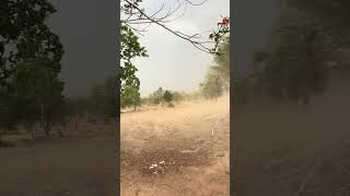 Natural Vlog / #shortvideo #trending #viral #adventure #india #vlog