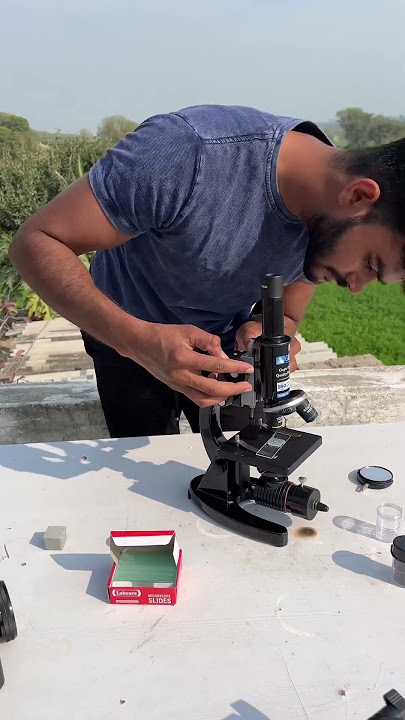 Human Sperm In Microscope