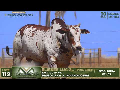 LOTE 112   PRIS 7284