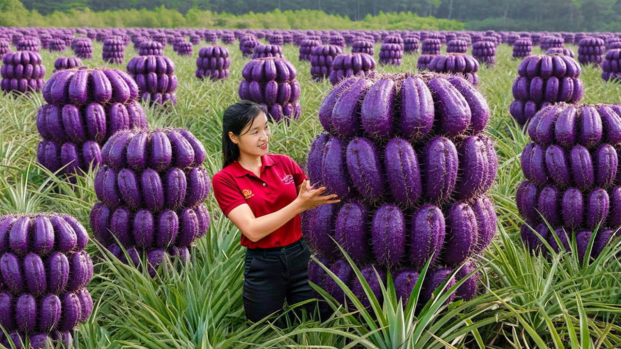 Full Video — Harvesting GIANT Strange Fruit That Looked SO Weird at Market Most Satisfying 4K