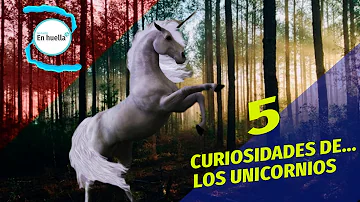 ¿Cuáles son los 3 datos más interesantes sobre los unicornios?