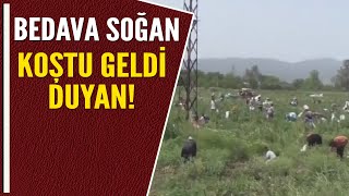 BEDAVA SOĞAN KOŞTU GELDİ DUYAN! Resimi