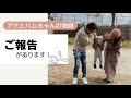 お久しぶりです。今後の活動について報告があります!