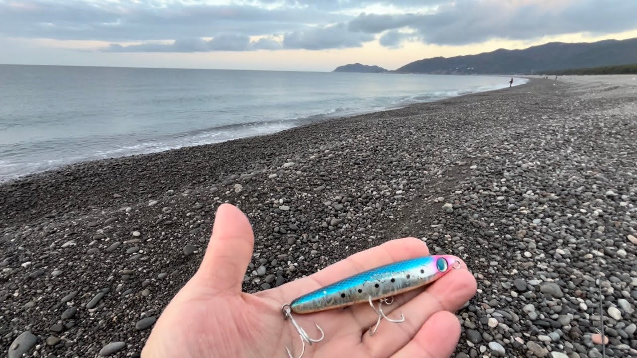 シンペン水面スキップしたらやる気のない青物ガチで食ってくる