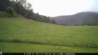 Browning Strike Force Trail Camera Time Lapse Demo