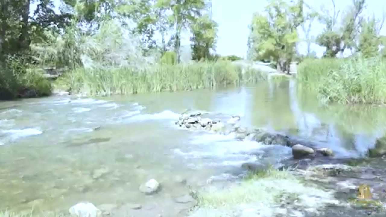 Video de Promoción de Benaguasil