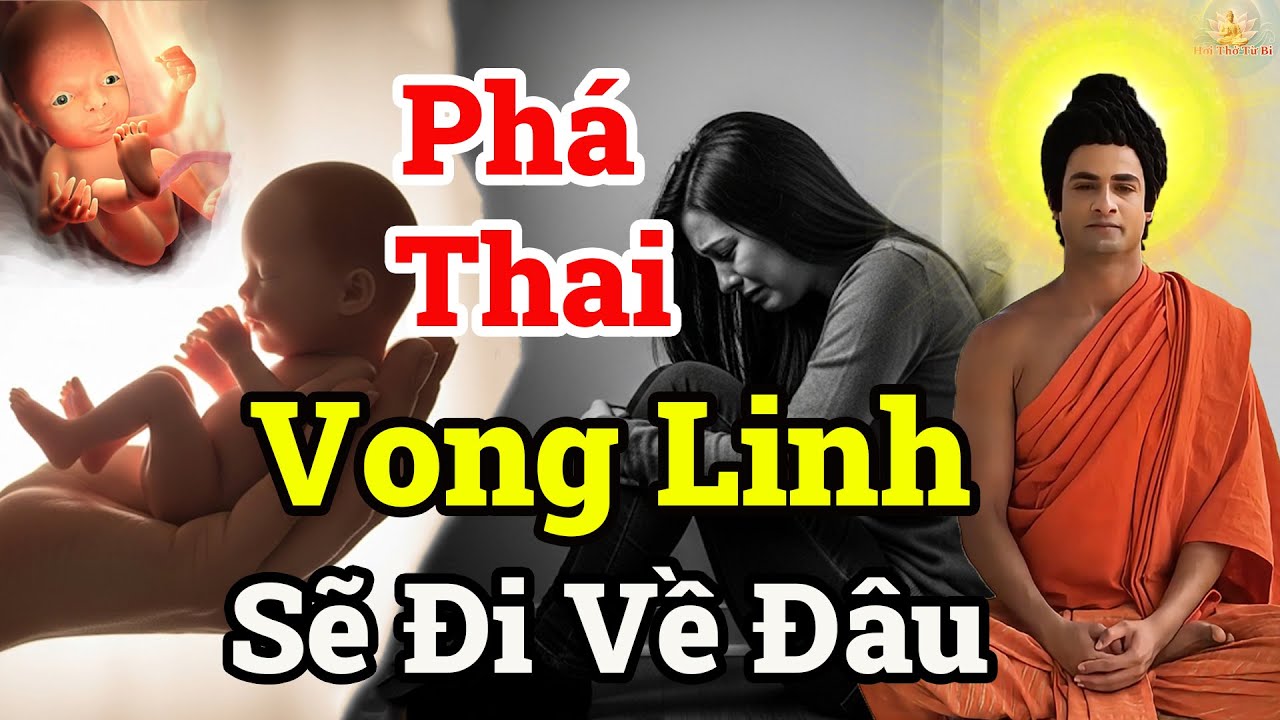 Bạn Có Biết Vong Linh Thai Nhi Sẽ Đi Đâu Sau Khi Chết Theo Phật Giáo?