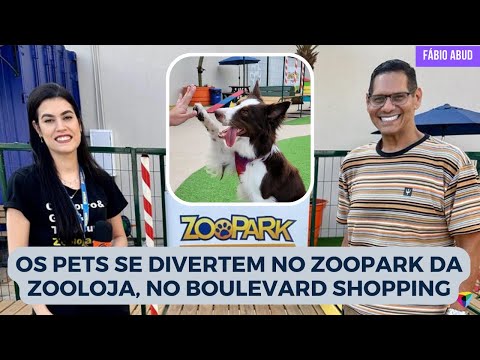 Os pets se divertem no Zoopark da Zooloja, no Boulevard Shopping | Programa Fábio Abud