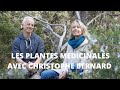 Les plantes mdicinales avec christophe bernard