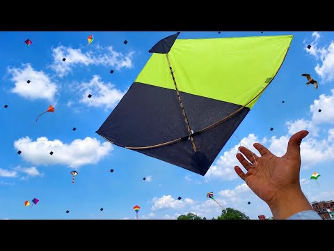 Kite Looting On 🔥RAKSHABANDHAN 🔥| Kite Flying | Kite Catching 😍| kite | Patang 