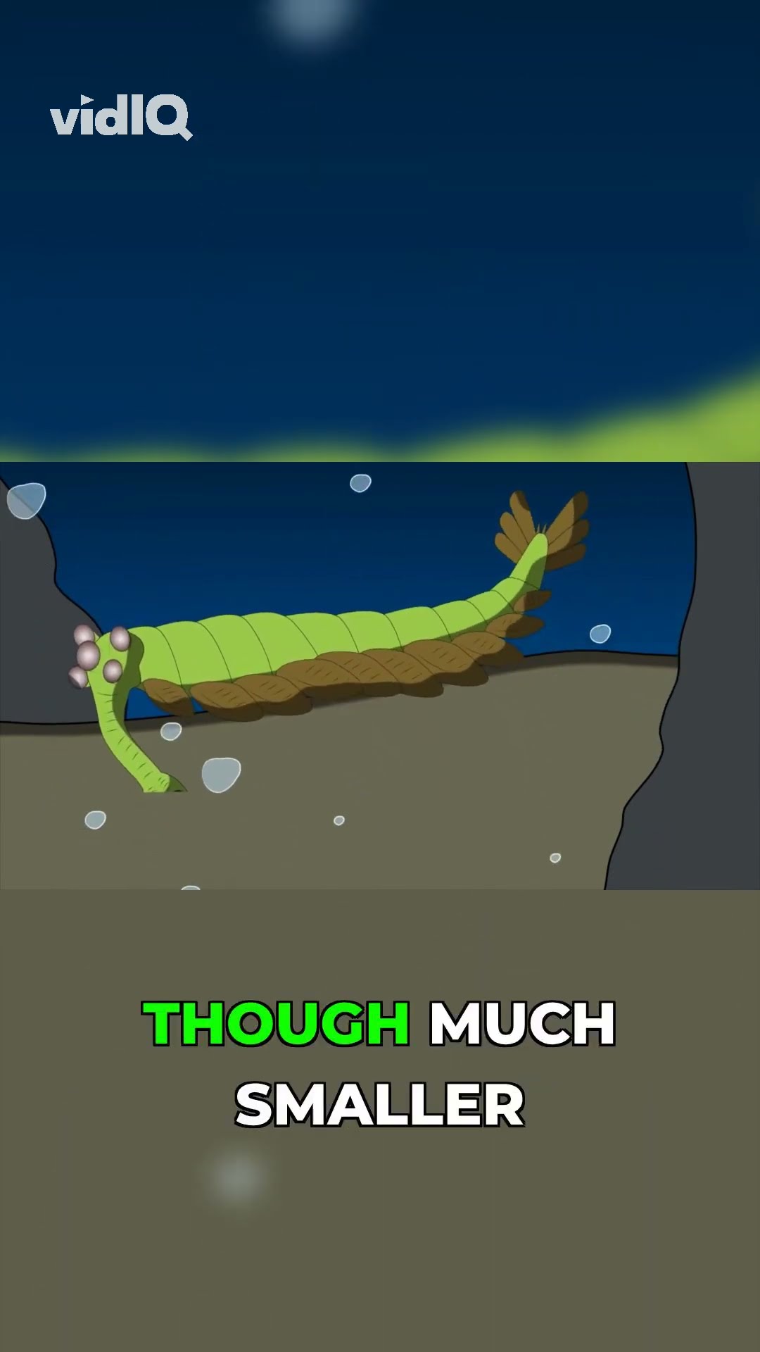What Made Opabinia the Perfect Predator? #paleontology #predators