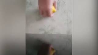 TMP - Lemon Juice Extraction ( When The Blender Breaks)