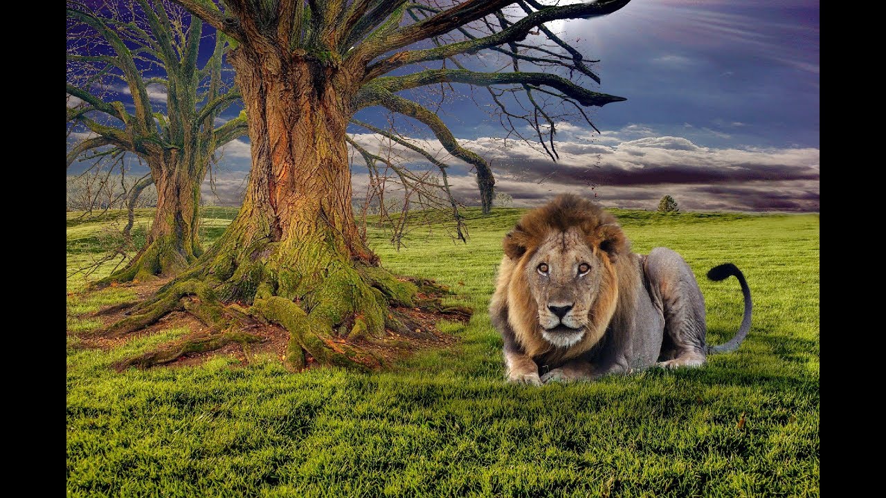 GIMP 2.10.12: Tuto 102 ( Mariage d'un élément sur un autre )