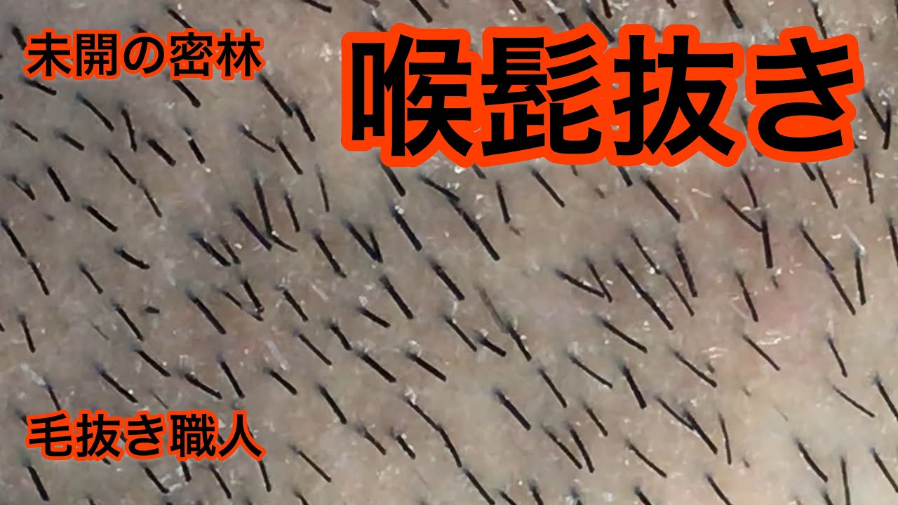 Plucking Facial Hair 喉髭抜き挑戦 毛抜き職人 19 12 1 Youtube Plucking Facial Hair 喉髭抜き挑戦 毛抜き職人 19 12 1 Youtube