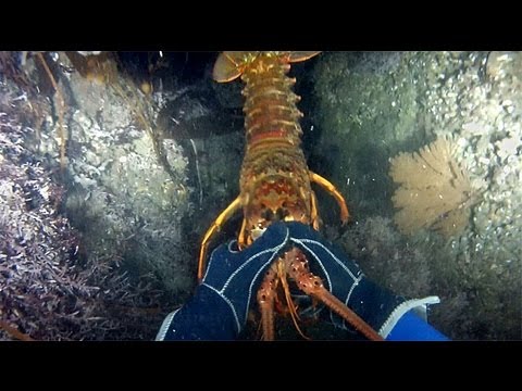 Lobster Hunting and Kayak Diving with GoPro - YouTube