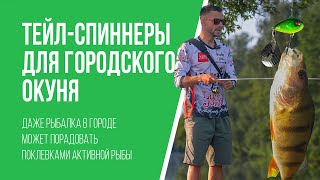 картинка: Ловля окуня на тейл-спиннер на реке в городе