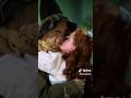 Dorothy and The Scarecrow/ The Wizard of Oz #thewizardofoz