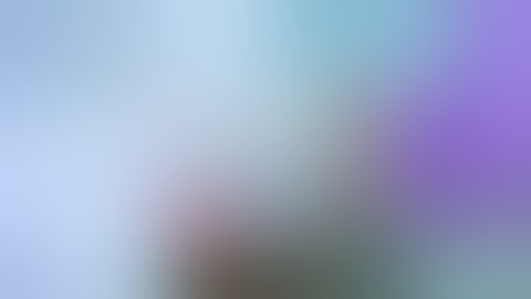 checking my mailbox in pet simulator X day 0 user is bob700m