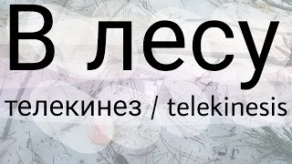 В лесу / Телекинез / Telekinesis