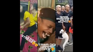 KUMPULAN VIDEO LUCU TERBARU | ASUPAN MEME TERBARU 2019 #2