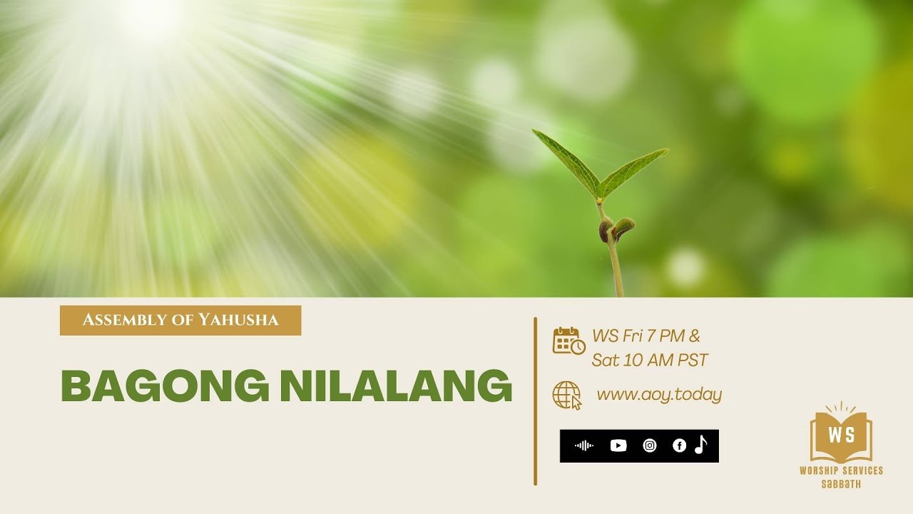 WS - Bagong Nilalang 