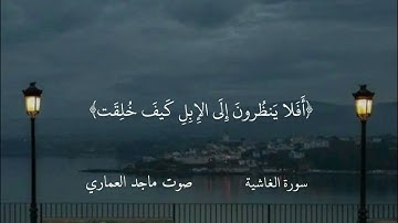 تلاوة رائعة بصوت القارئ ماجد العماري .