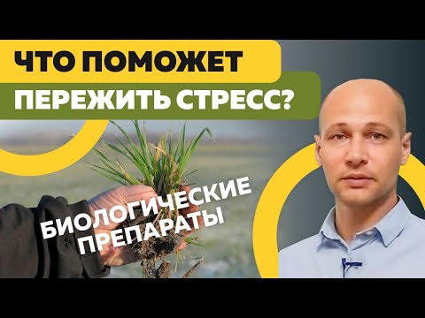 Как контролировать последействие