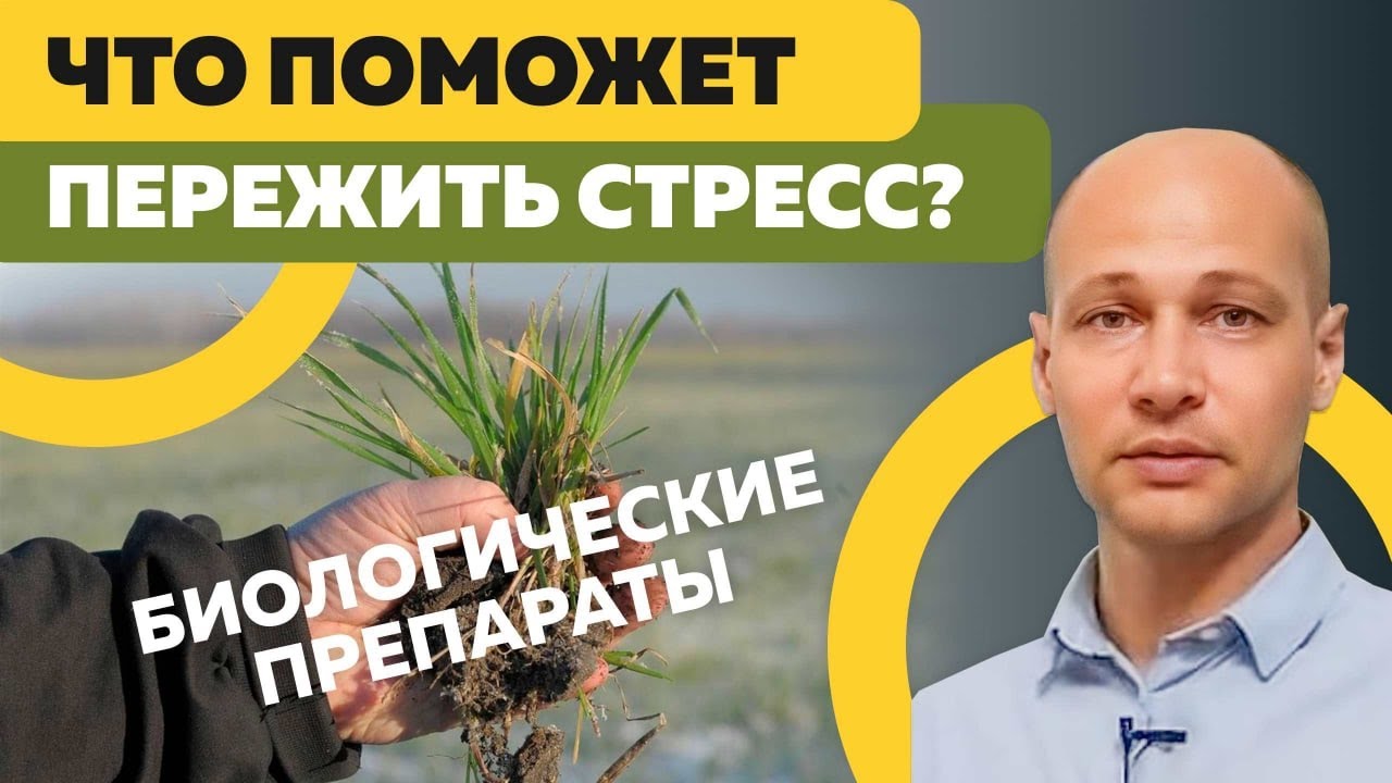 Как контролировать последействие гербицидов? Советы агрономов-практиков