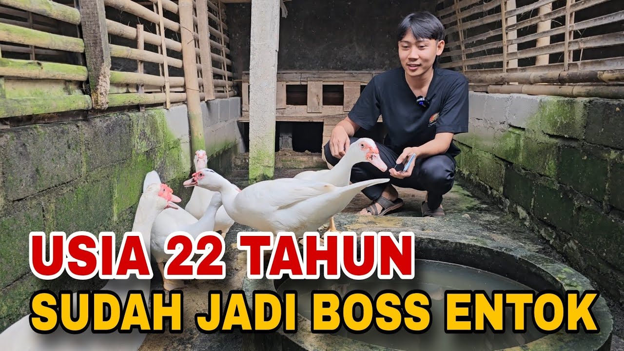 USIA 22 TAHUN SUDAH SUKSES JADI BOS ENTOK