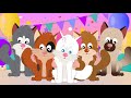 Happy Birthday Fluffy   Pet Music for Your Cat