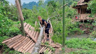 Heavy rain and strong winds overturned large trees, damaging the girl's gate