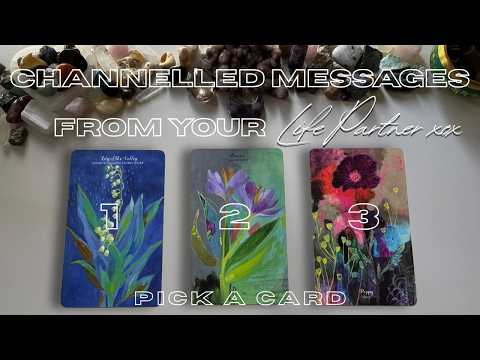 Your Life Partner Has An Important Message For You! 💘 Pick A Card For Your Timeless Reading