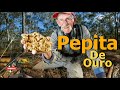 Detector de metais - Pepita de Ouro com quase 5 quilos  Metal Detector