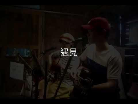 孫燕姿｜ 遇見  |guitar  cover