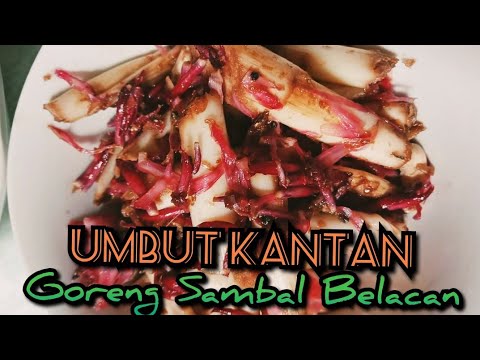 What Is Sambal Belacan Bunga Kantan
