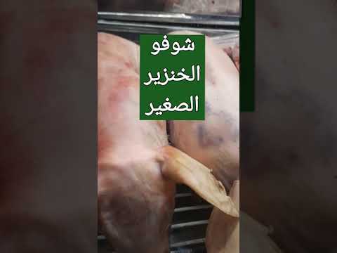 فيديو: كيف لطهي لحم الخنزير 