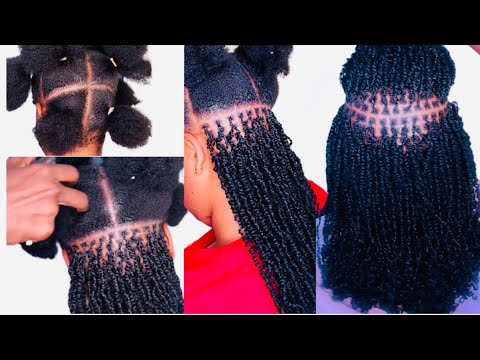 How to micro twist with curly hair #minitwist #microtwists #twist #twostrandtwist