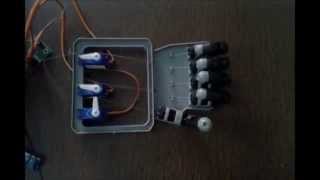 Humanoid Hand Project