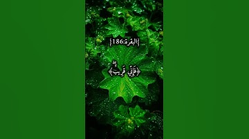 #راحة_نفسية #عبد_الباسط #فإني_قريب #تلاوة_خاشعة #سورة_البقرة #قرآن_كريم